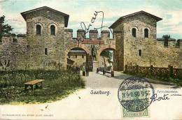 Allemagne -ref A249- Saalburg - Carte Bon Etat  - - Saalburg