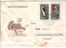 GOOD DDR Postal Cover To ESTONIA 1967 - Good Stamped: Birds - Lettres & Documents