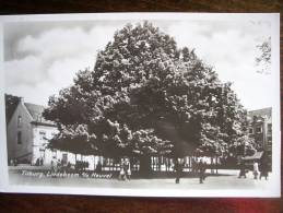 TILBURG  - Verzonden In 1950  - Lindenboom Aan De Heuvel - ASB -  Lot VO 11 - Tilburg