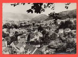 ROTHAU - Vue Générale. - Rothau