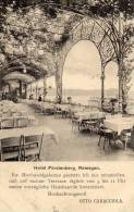 Remagen Hotel Furstenburg 1900 Postcard - Remagen