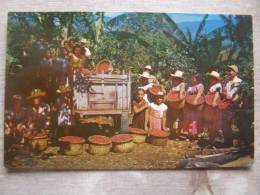 Costa Rica -  Coffee Berries -  Workers      D91306 - Costa Rica