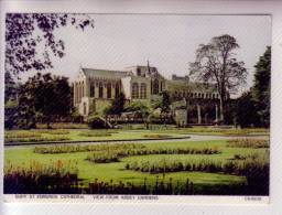 BURY-ST-EDMUNDS Cathedral  VIEW FROM ABBEY GARDENS - Andere & Zonder Classificatie