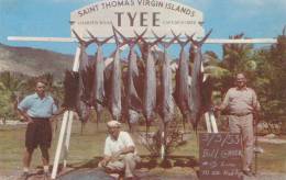 VIRGIN ISLANDS / SAINT THOMAS / PECHE AU GROS - Islas Vírgenes Americanas