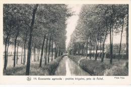 Economie  Agricole  Prairies  Irriguées Pres Achel - Sonstige & Ohne Zuordnung