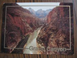 Etats Unis     Grand Canyon - Grand Canyon