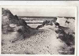 BR46761 Dulln Bij De Koog Groeten Vn Texel   2 Scans - Texel