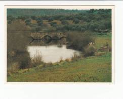 Portugal Cor 19779 - CRATO - PONTE ROMANA NA RIBEIRA DE SEDA - Portalegre