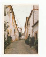 Portugal Cor 19787 - CRATO - RUA ALVARES GONÇALVES PEREIRA - Portalegre