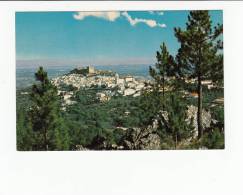 Portugal Cor 19789 - CASTELO DE VIDE - VISTA GERAL - APARADO ?!? - Portalegre