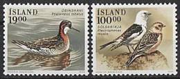 ISLANDE 1989 - Oiseaux D'Islande - 2v Neuf ** (MNH) - Nuevos