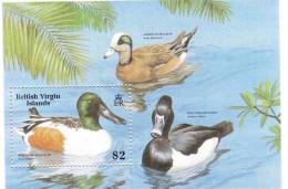 Virgin Islands 1988 Birds Ducks S/S MNH - Iles Vièrges Britanniques