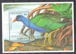 Antigua & Barbuda 1995 Birds - Ducks SS - MNH (**) - Canards