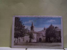 VILLENEUVE-DE-MARSAN (LANDES) LES EGLISES. PLACE DE LA MAIRIE - Villeneuve De Marsan