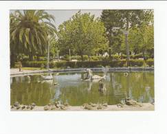 Portugal Cor 19833 - PONTE DE SOR - LAGO DA SEREIA JARDM PÚBLICO - Portalegre