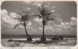 OLINDA - PERNAMBUCO / PRAIA DO BAIRRO NOVO - Autres