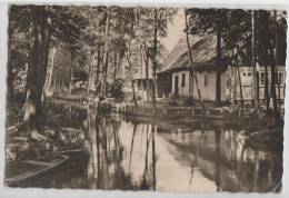 Germany - Lehde Im Spreewald - Ledy We Blotach - Luebben (Spreewald)