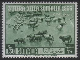 Somalia A.F.I.S. (Amministrazione Fiduciaria Italiana) - 3^ Fiera Della Somalia: 30 C. - 1955 - Somalia (AFIS)