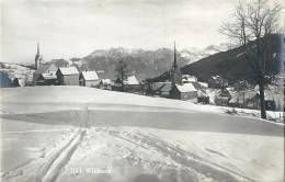 Wildhaus - Von Der Loipe Aus Gesehen          Ca. 1920 - Wildhaus-Alt Sankt Johann