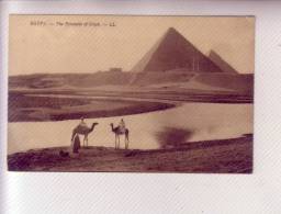 Les PYRAMIDES De Gizé Gizeh Carte Postale Non écrite - Gizeh