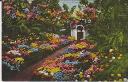 St Louis Missouri Interior Of Greenhouse Shaw's Garden - St Louis – Missouri