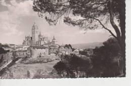 (AKZ214) SEGOVIA . LA CATEDRAL VISTA DESDE EL PINAR - Segovia