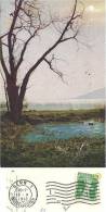 AK  Herbststimmung Am See  (Markenabart)            1912 - Plaatfouten