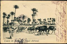 LIBIA TRIPOLI L'OASIS DE HAMAMAJI 1904 - Libia