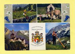 LIECHTENSTEIN - FÜRSTENTUM PRINCIPALITY LIECHTENSTEIN - Liechtenstein