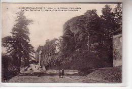 89 St SAUVEUR En PUISAYE ( Yonne ) - Le Château , XVIIe Siècle - La Tour Sarrazine , XIe Siècle - Vue Prise Des Communs - Saint Sauveur En Puisaye