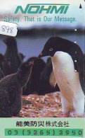Télécarte  Japon * OISEAU MANCHOT  (898)  PENGUIN BIRD Japan * Phonecard * PINGUIN * - Pingouins & Manchots
