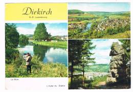 L1200    DIEKIRCH : Multiview ( Avec Artiste Peintre) - Diekirch