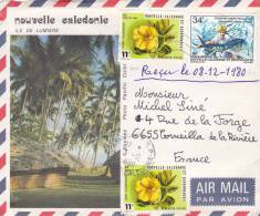 NOUVELLE-CALEDONIE, Lettre, 1980, NOUMEA Pour LA FRANCE,  Yv 436/PA202/2544 - Lettres & Documents