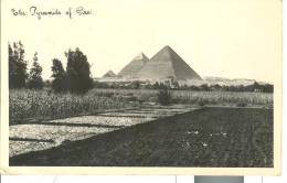 AF015 - The Pyramids Of Giza - Piramidi - Pyramids