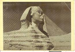 AF018 - Cairo - Sphynx - Sfinge - Sphinx