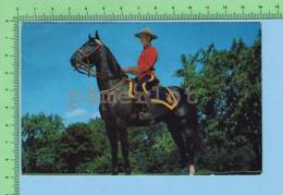 Canada Vancouver ( Royal Canadian Mounted Police ) Post Card Carte Postale - Policia – Gendarmería