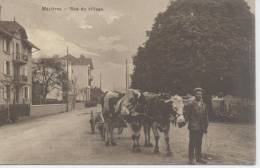 Canton De Vaud Mézières Avec Attelage - Jorat-Mézières