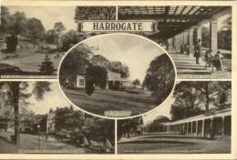 (149) Very Old Postcard - Carte Ancienne - UK - Harrogate - Harrogate