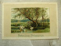 Pentecost  Card  Pfingsten - -embossed En Relief    Swan  -  Ca 1905 -   D91911 - Pentecostés