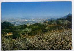 Italie--Colli Euganei - Torreglia Alta - Ciliegi In Fiore, Cpm N° 153  éd MT - Sonstige & Ohne Zuordnung