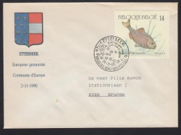 1990 - BELGIË/BELGIQUE/BELGIEN - Cover + Y&T 2385 [Rhodeus Amarus] + ETTERBEEK - Covers & Documents