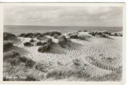 Zee En Duin - Noordwijk (aan Zee)