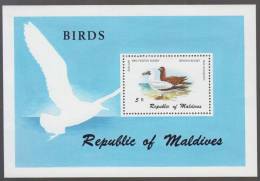 Sea Bird, Red Footed Booby Brown Booby MS MNH 1980 Maldives - Möwen