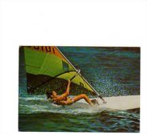 69573)cartolina Illustratoria Serie Sport - 10° Campionato Italiano Windsurfer - Sci Nautico