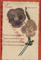 Carte Fantaisies,  Doux Souvenir,  PENSEE   Fleurs Séchées, POËME ,  Jan 2013-div 0120 - Philosophy