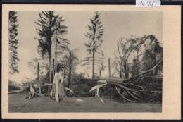 Les Breuleux  - Forêt Détruite Par Le Cyclone Du 11 Juin 1926 (10´855) - Les Breuleux