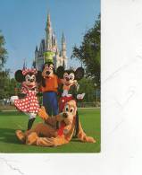 WALT DISNEY WORLD  , USA   * - Disneyworld