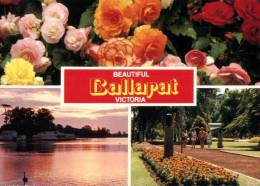 (777) Australia - VIC - Ballarat Flowers - Ballarat