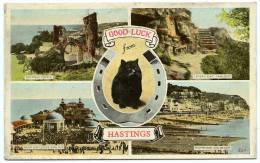 HASTINGS MULTIVIEW - Hastings