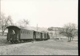 Trains ---   Pres De Limbach, Un Train Pour Mudau --- Avril 1959 - Eisenbahnen